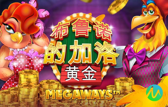 新澳2024年最新版资料